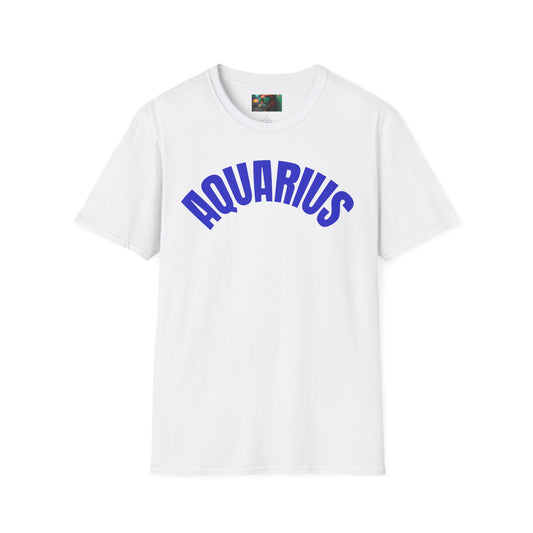 Aquarius Angel Graphic T-Shirt, Astrology T-Shirt, Unisex Tee, Spiritual Gift, Zodiac Apparel, Horoscope Shirt